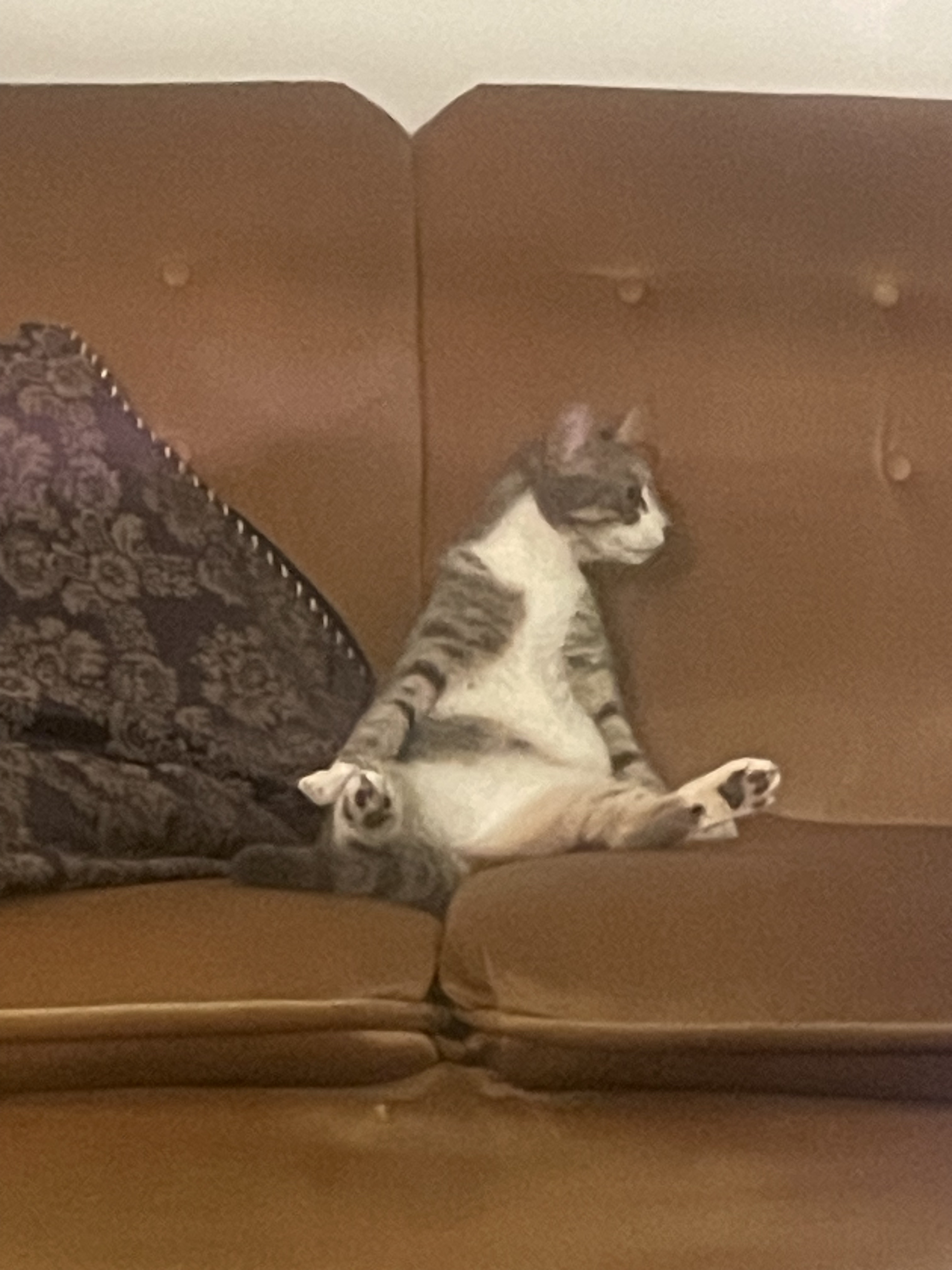 Alice looking right while sitting on the couch (human-like)