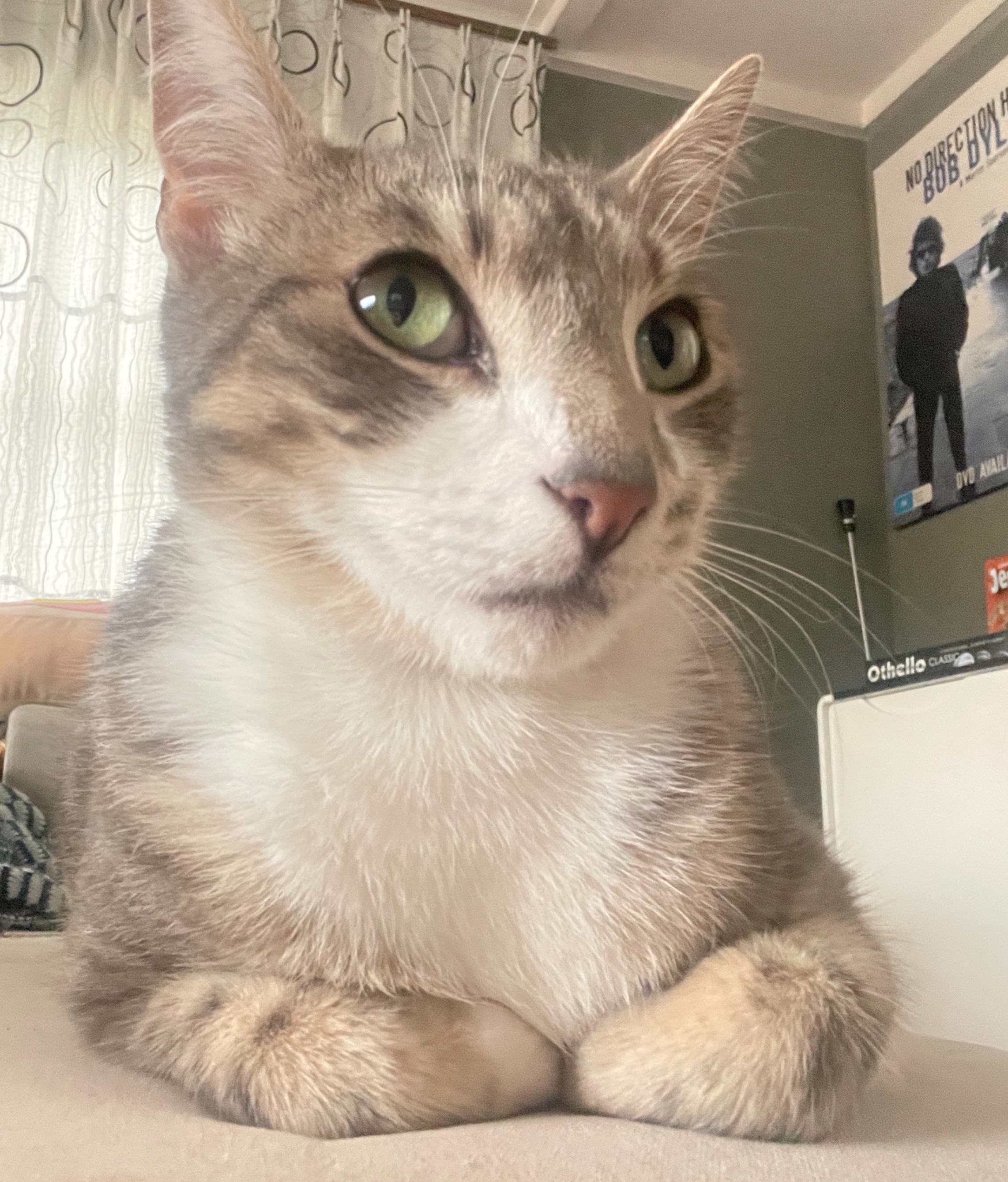 Close-up of Alice looking up and to the side strangely